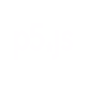 P5js logo in white color